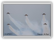 F-5E Patrouille Suisse_5